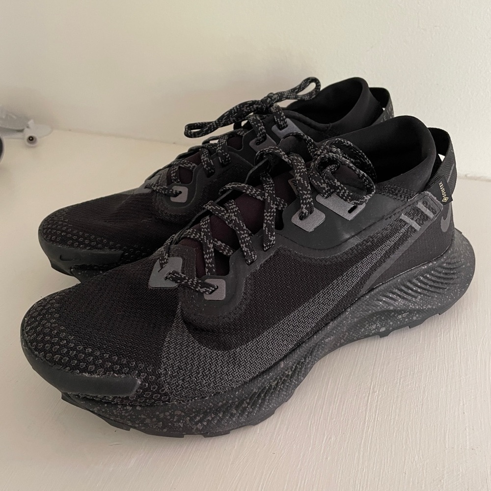 Nike Pegasus Trail GTX running shoes, brand new